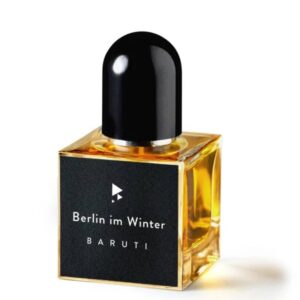 Berlin im Winter
