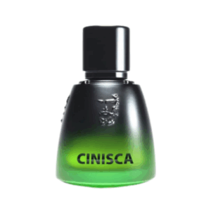 CINISCA